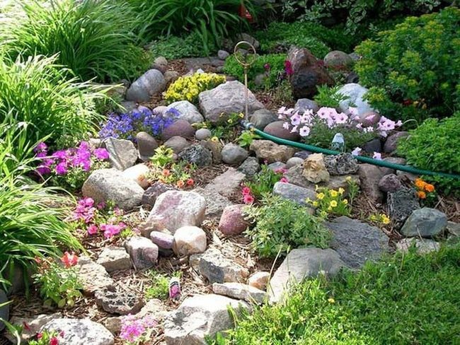 Flowers Between Stone Boulders