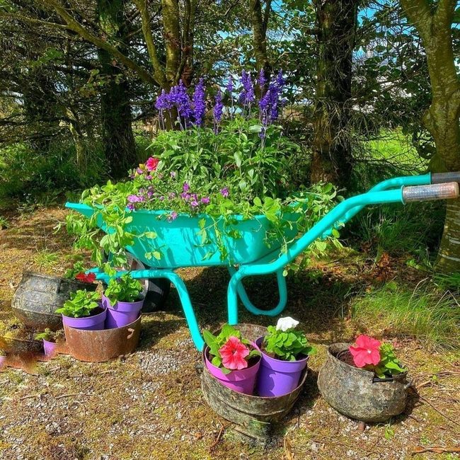 Wheelbarrow Overflowing With Colorful Blooms