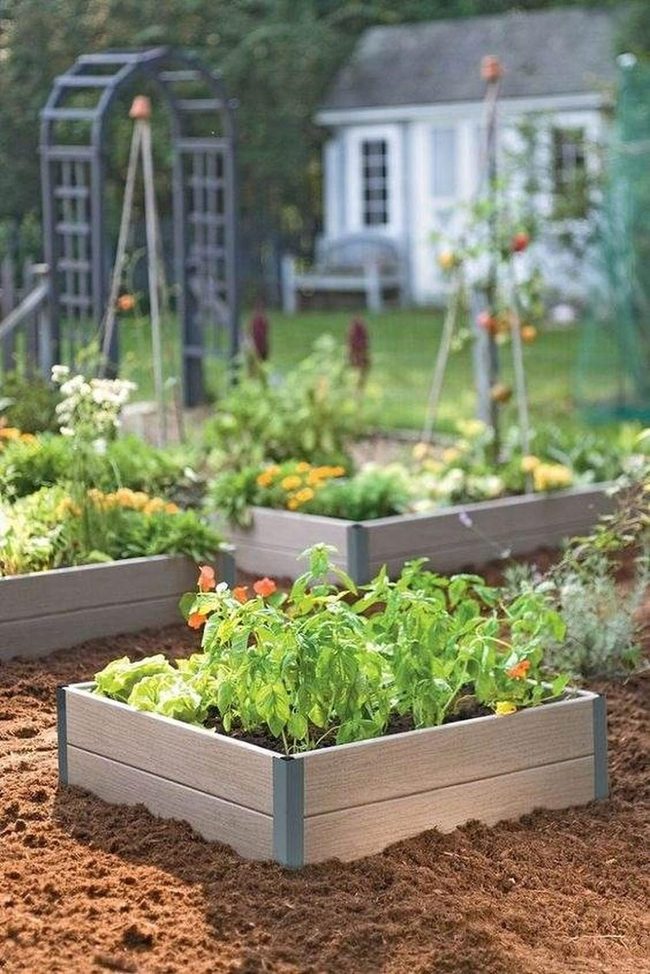Tiered Garden Beds Growing Upward