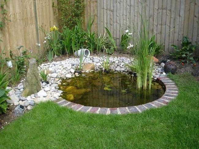 Water Lilies, Circling Stones, Green Sanctuary