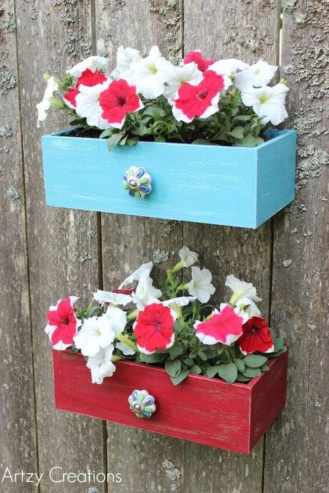 Petunias In Painted Wall Boxes