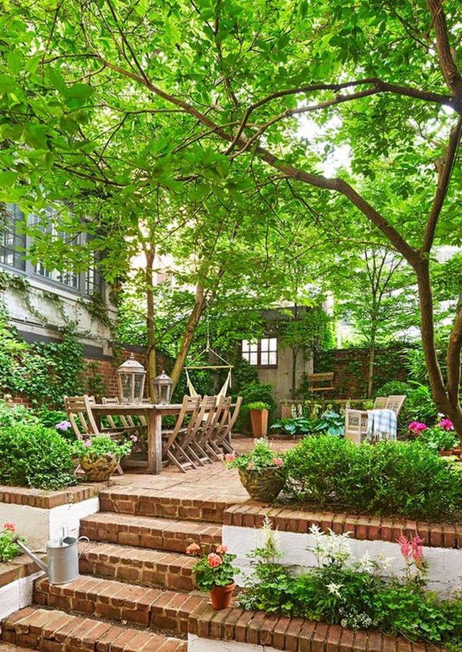 Towering Trees Frame Shaded Retreats