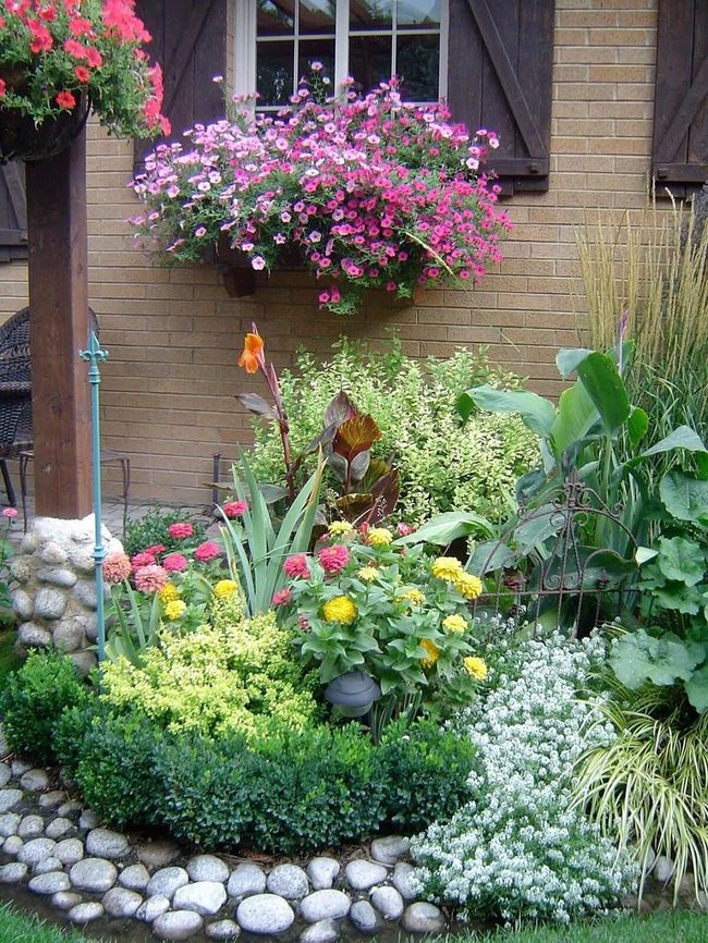 Orange Canna Lilies With River Rock Border