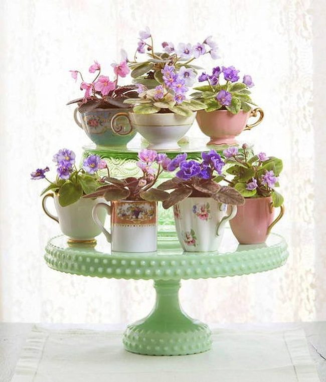 Purple Blooms In Porcelain Cups