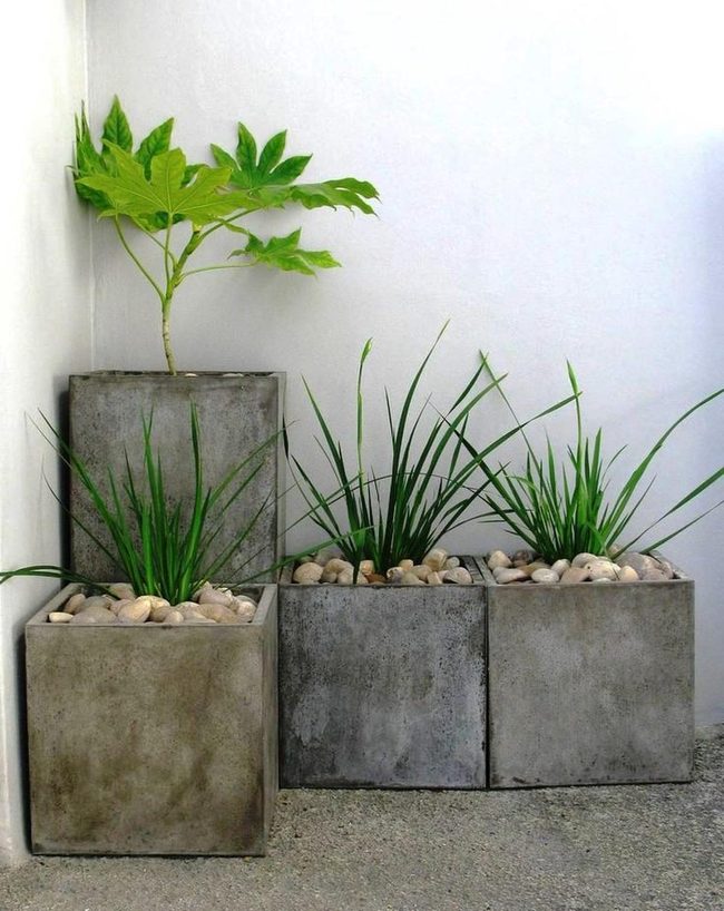 Concrete Planters Green Minimalist Corner