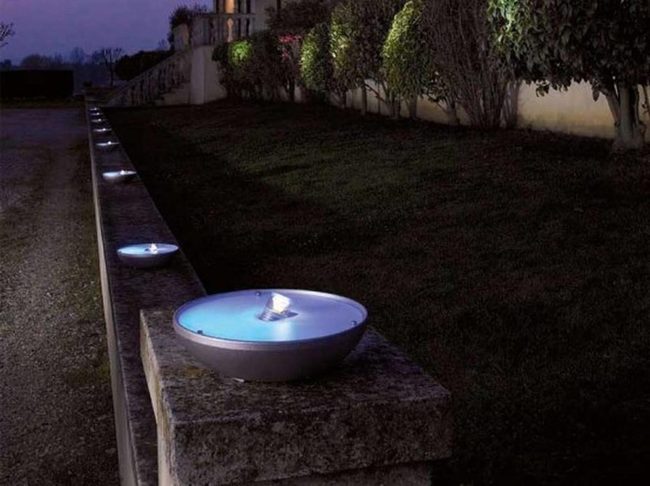 Deep Blue Garden Nights