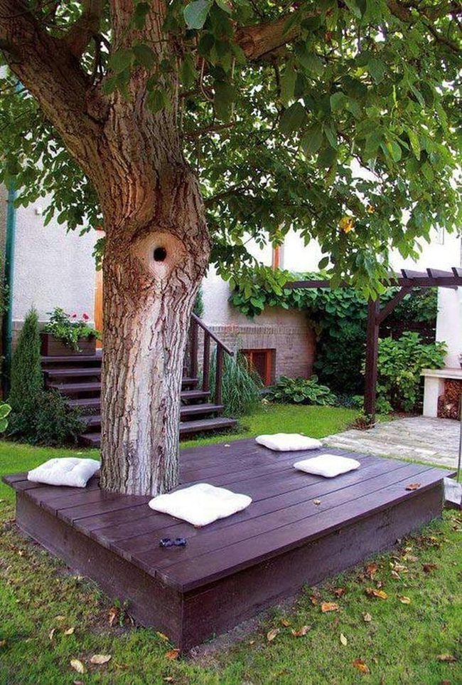 Tree-Centered Wooden Platform Retreat