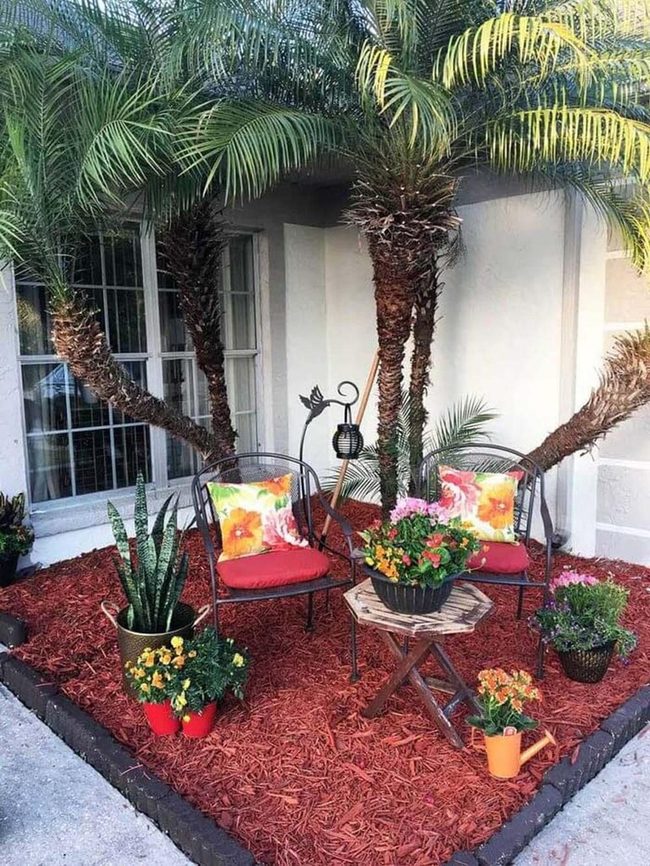 Potted Flowers Transform Small Yards
