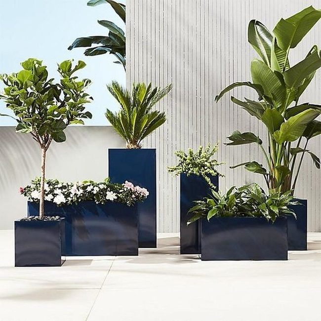 Navy Pots Lush Greenery Statement