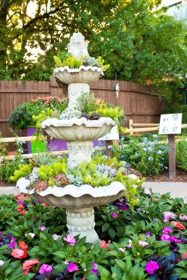 Stone Fountain With Cascading Emerald Succulents