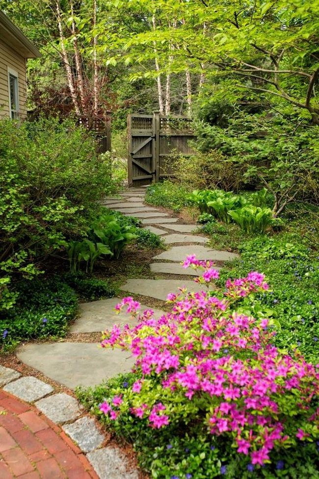 Rainbow Blooms Through Dappled Shade