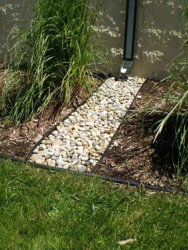 Stone Path Through Green Edges