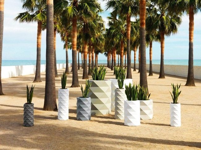 Palm-Lined Path To Blue Waters