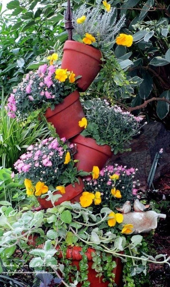 Cascading Pansies In Stacked Terracotta