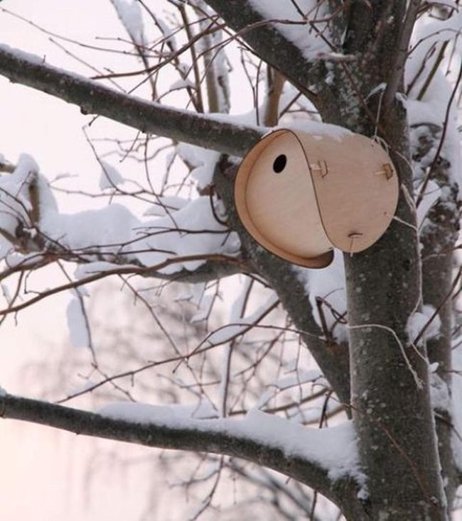 Wooden Birdhouse Among Snowy Branches