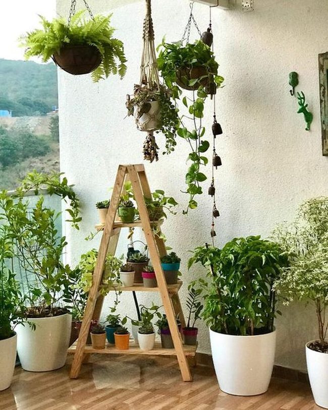 Vertical Greenery With Wooden Ladder