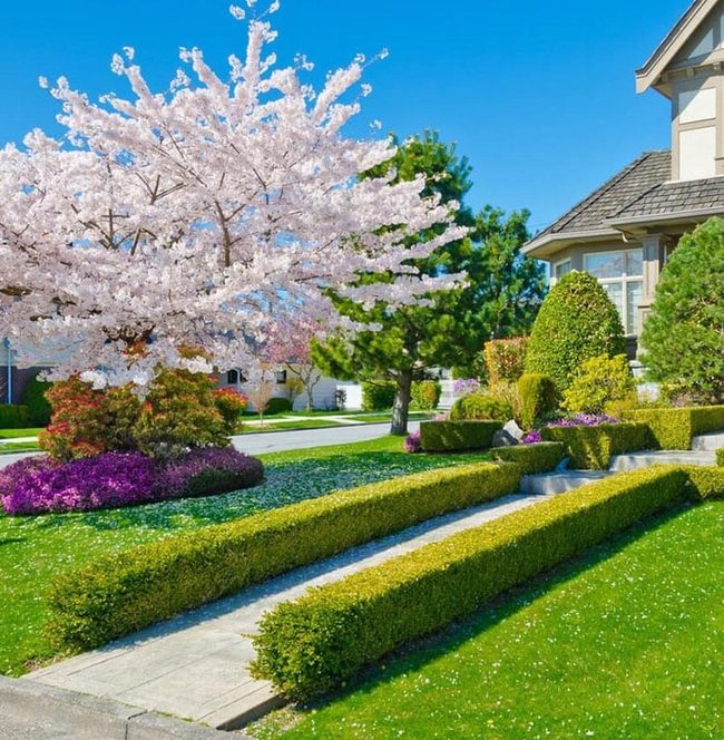 Purple Flowers Frame Living Fence