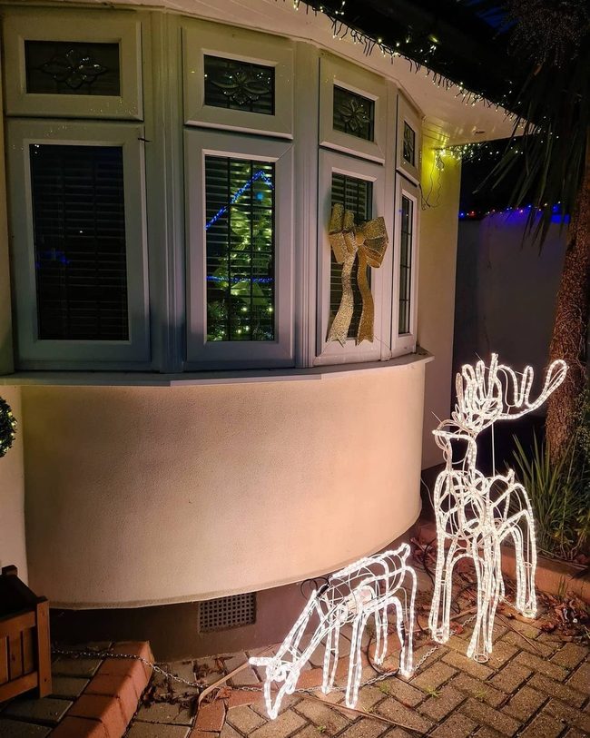 Luminous Reindeer Light Up Darkness