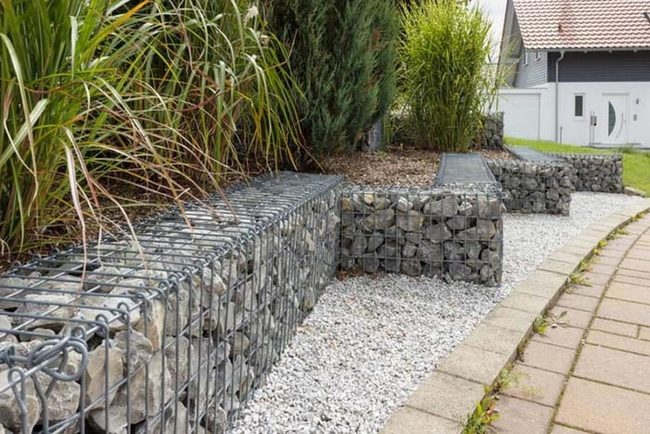 Stone Cages With Living Creep
