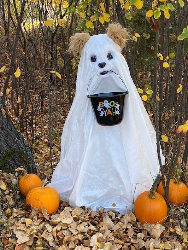 White Sheet Ghost Pup
