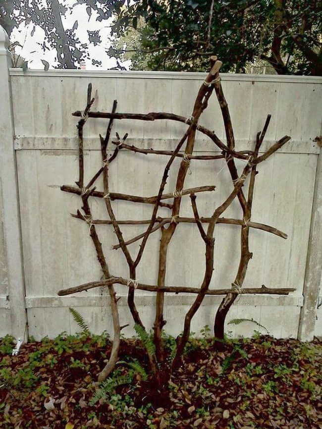 Wooden Trellis Garden Support Structure