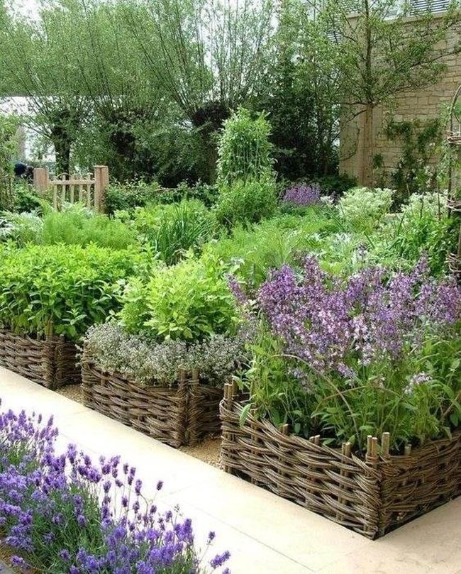 Woven Wood Beds, Fresh Herbs