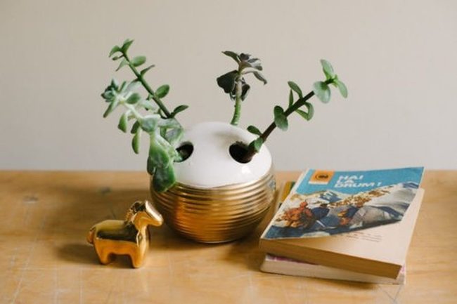Trailing Succulents In Ceramic Holders