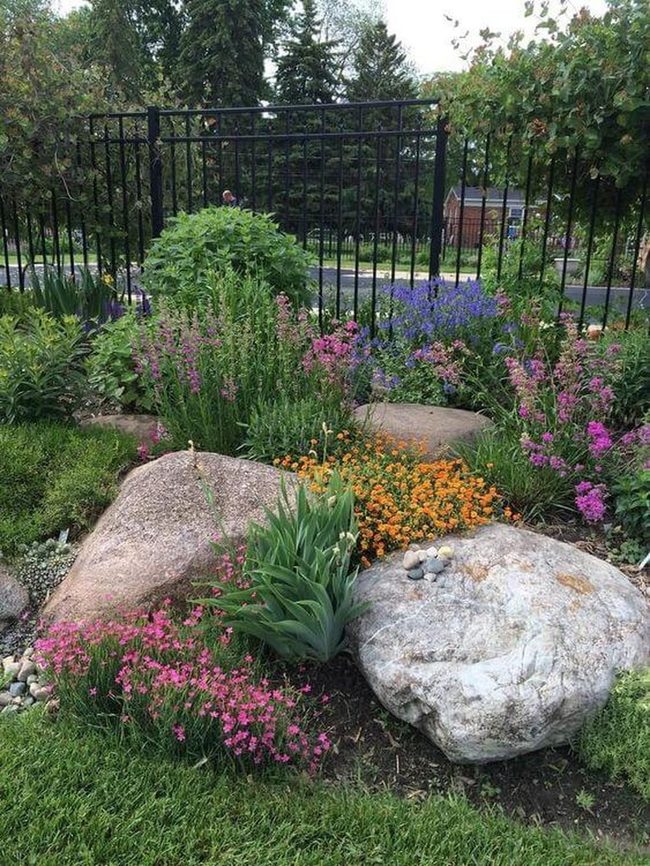 Colorful Flowers Meet Rugged Stone