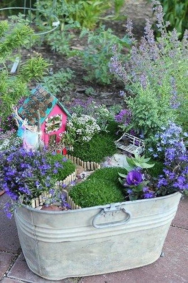 Tiny Gardens, Big Personality