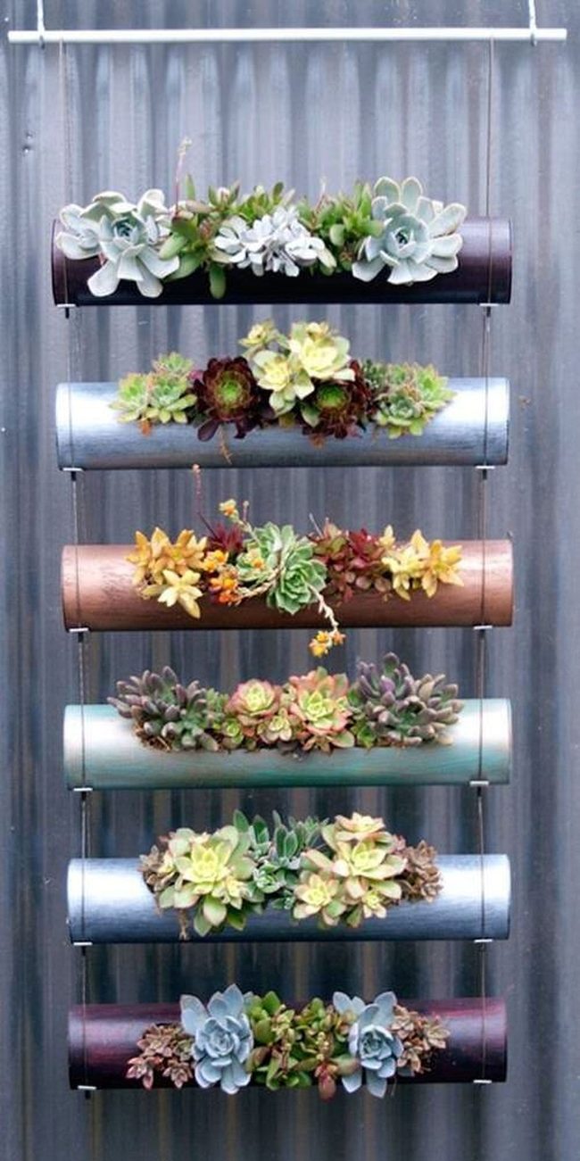 Industrial Pipes With Cascading Succulents