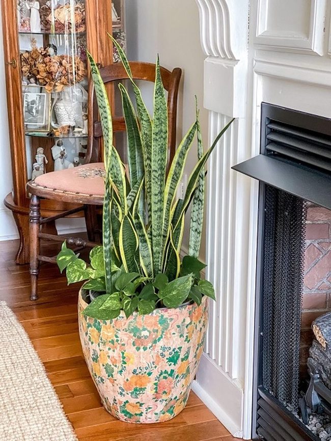 Vertical Green Meets Cascading Cream