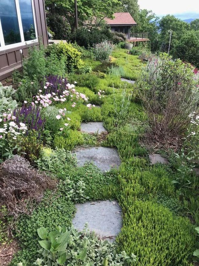 Stone Pathways Through Blooming Green