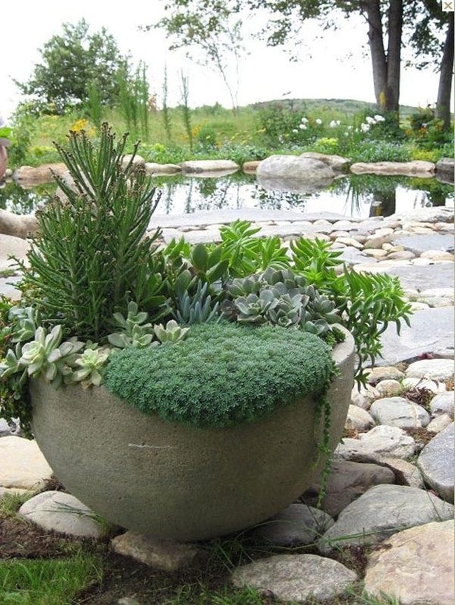 Stone Planter Anchors Serene Garden Sanctuary