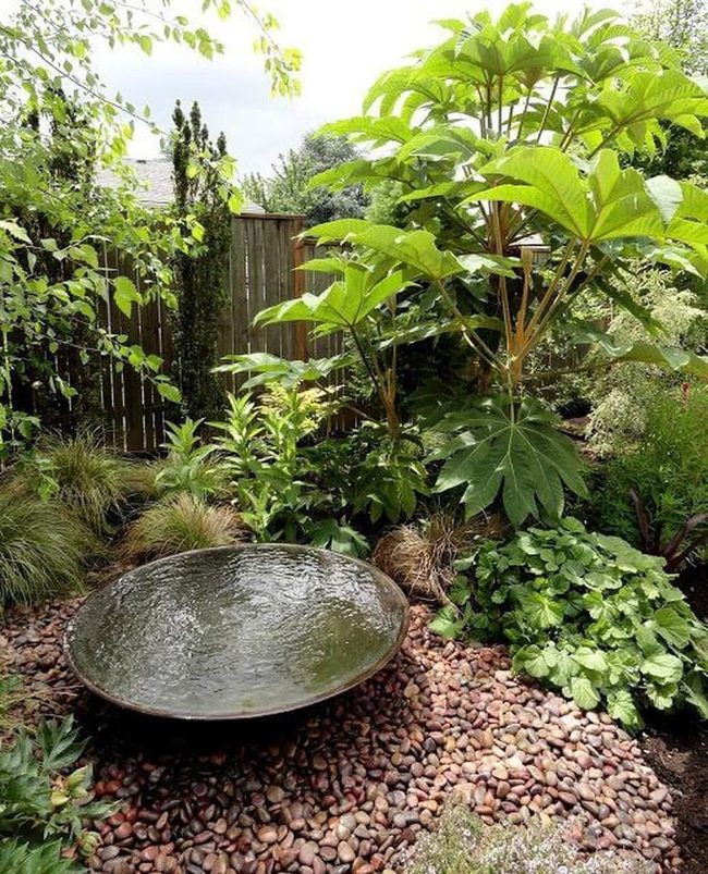 Water Feature Garden With Layered Greenery