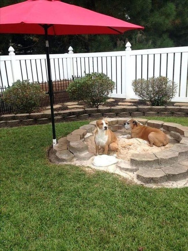 Dog Sand Pit With Umbrella