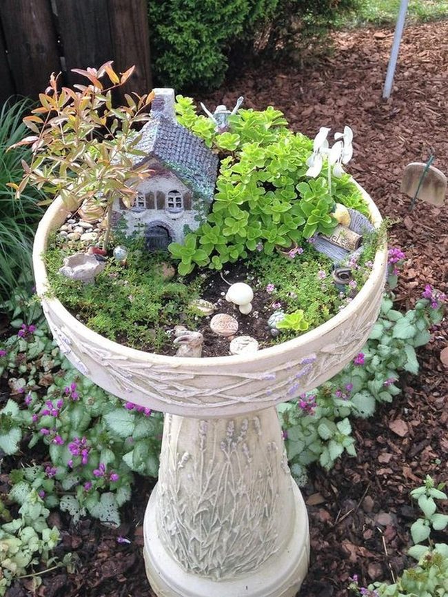 Tiny Cottage Garden In Birdbath
