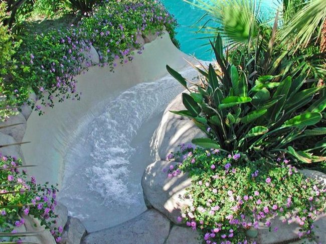 Poolside Greenery And Blooming Flowers