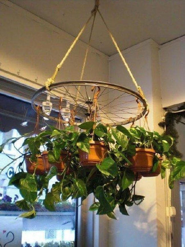 Bicycle Wheel Plant Wall
