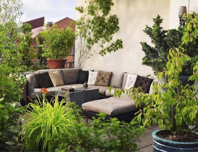Green Foliage Outdoor Retreat
