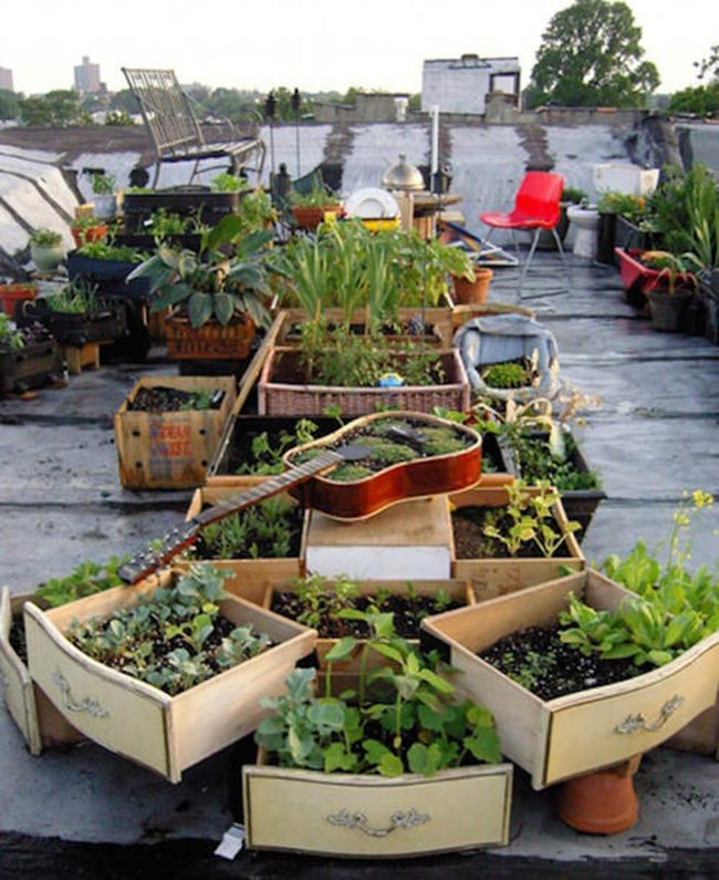 Urban Rooftop Vegetable Gardens