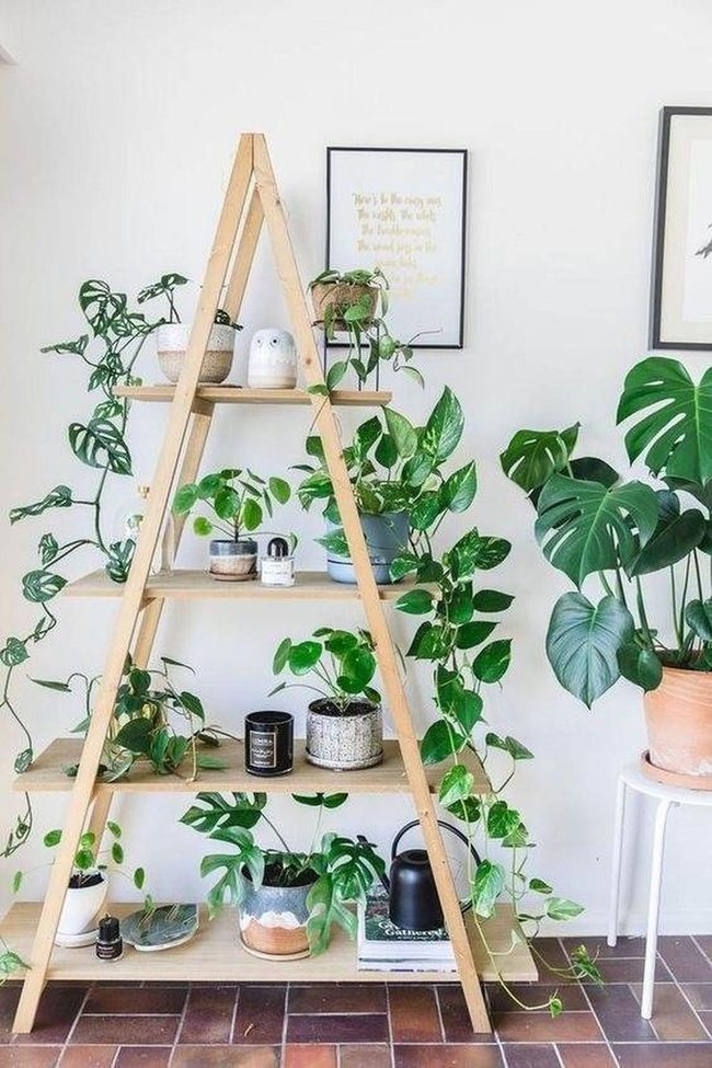 Wooden Ladder Shelf Bursting Green