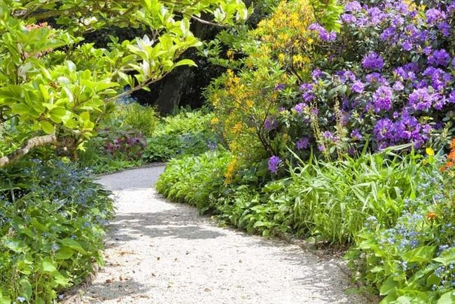 Gravel Paths Budget Friendly Appeal