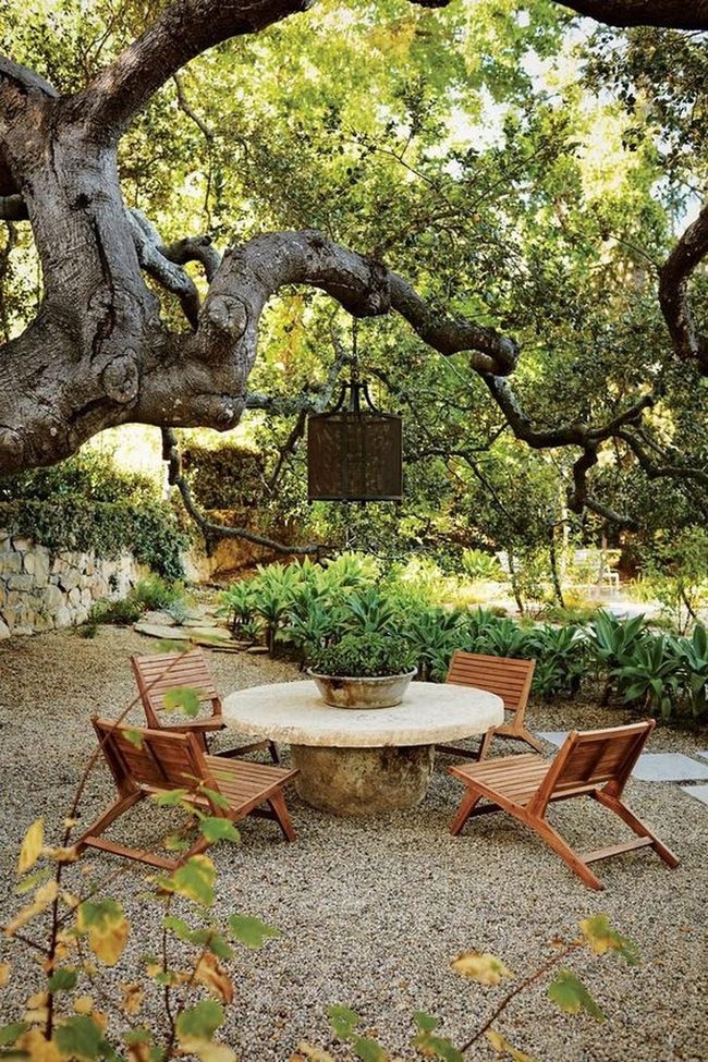 Stone Table Beneath Ancient Tree
