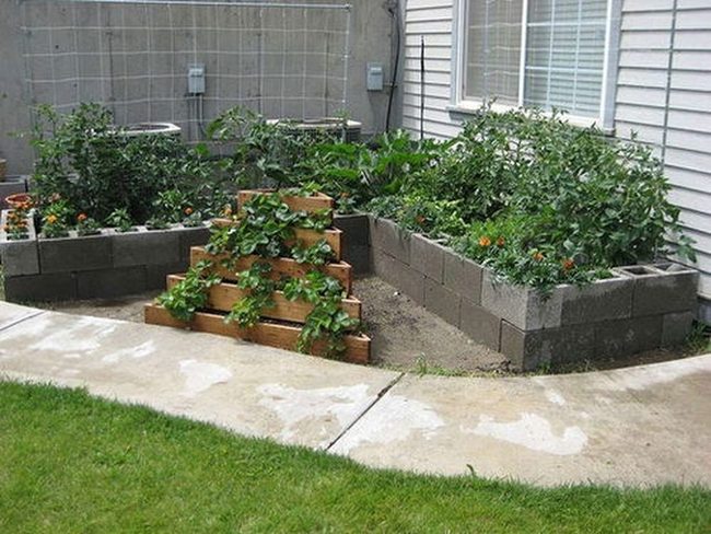 Wood And Concrete Garden Elevation