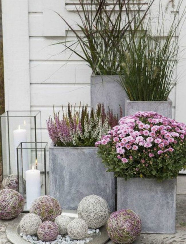 Burgundy Mums And Amber Candlelight