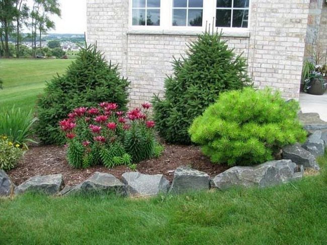 Stone, Foliage, And Blooms