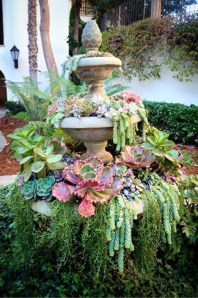 Stone Fountain With Cascading Succulents