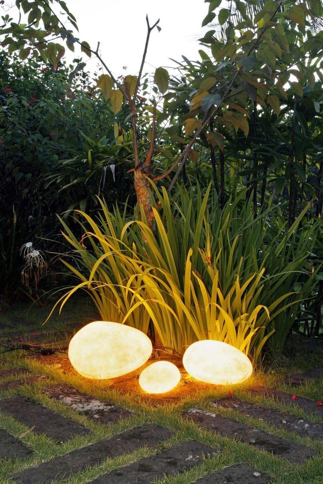 Amber Lights Through Tropical Foliage