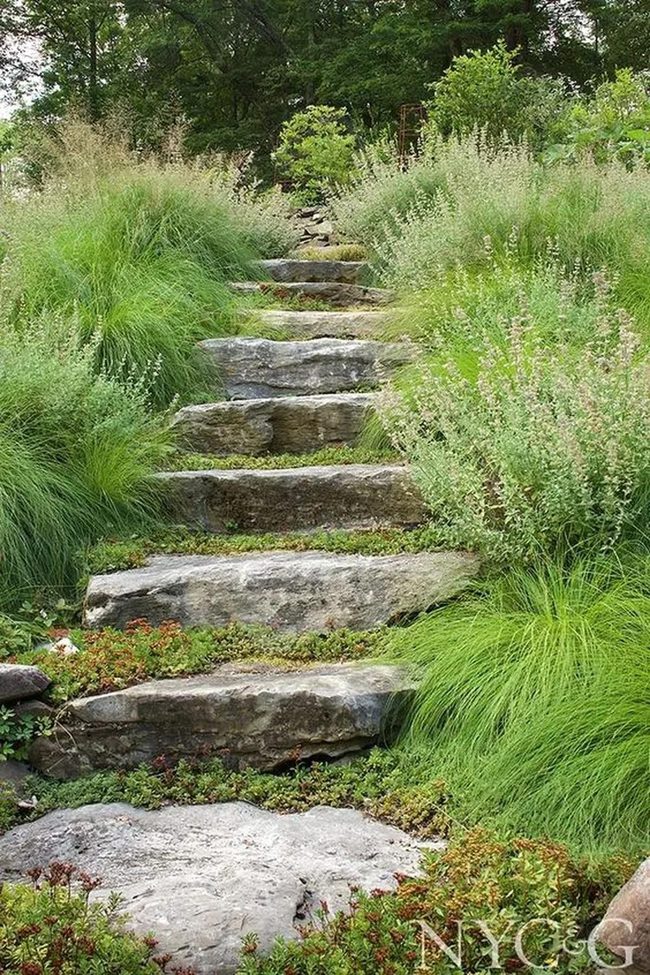 Green Forest Stone Trail