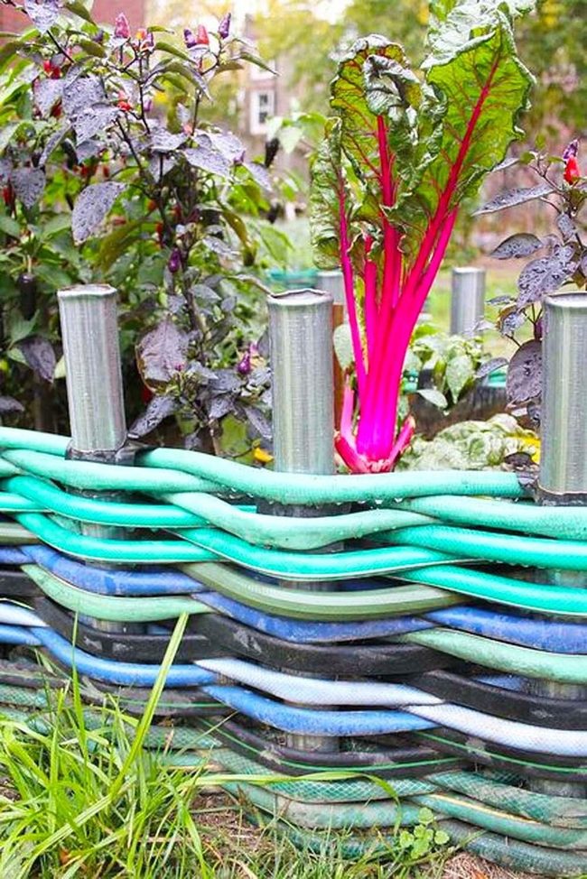 Magenta Chard Meets Recycled Metal